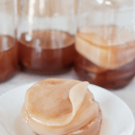 Wild Fermented Drinks Tour