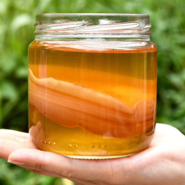 Wild Fermented Drinks Tour