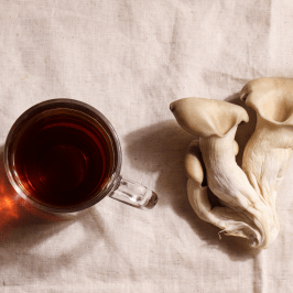 Wild Fermented Drinks Tour