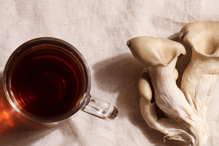 Wild Fermented Drinks Tour