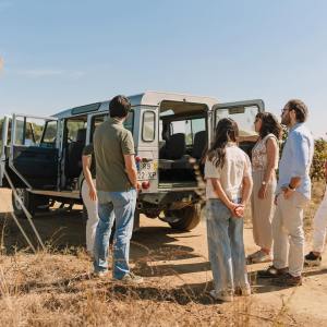 Évora Wine Tour