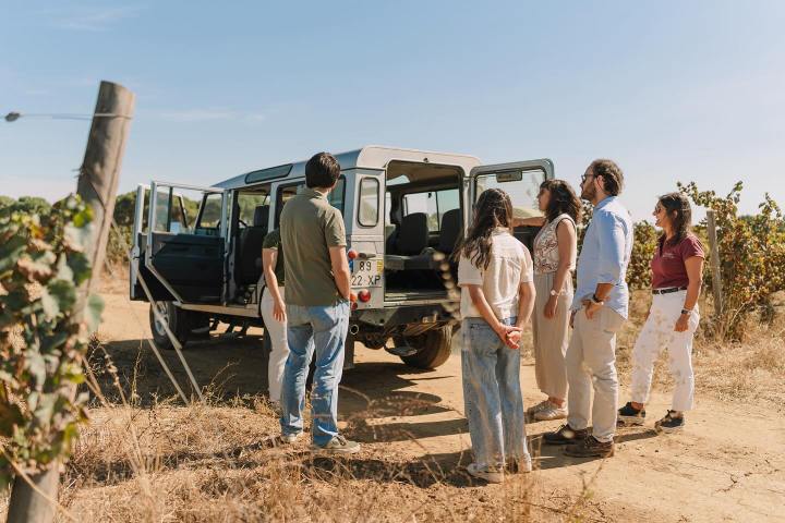Évora Wine Tour