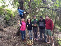 Porto fruit farm tour