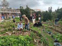 Porto fruit farm tour