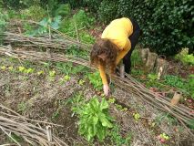 Porto fruit farm tour