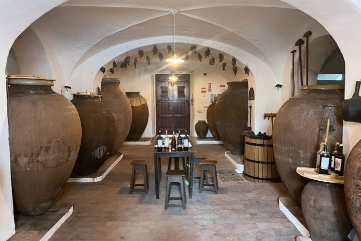 Vidigueira Wine Tour