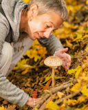 Wild Mushroom Tour