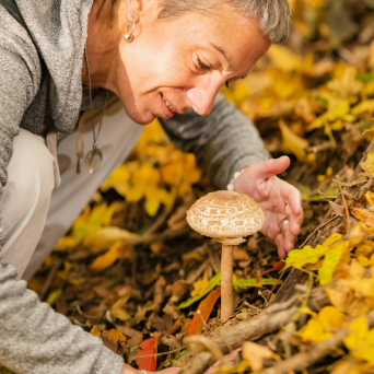Wild Mushroom Tour