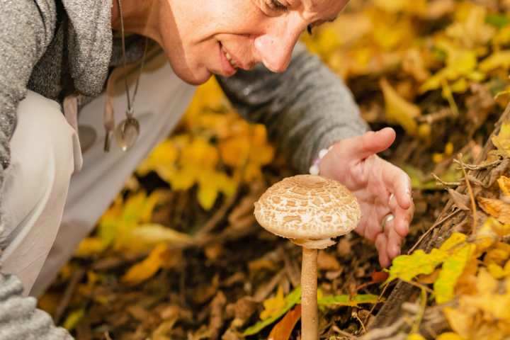 Wild Mushroom Tour
