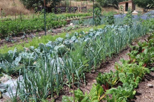 Penamacor cooking class