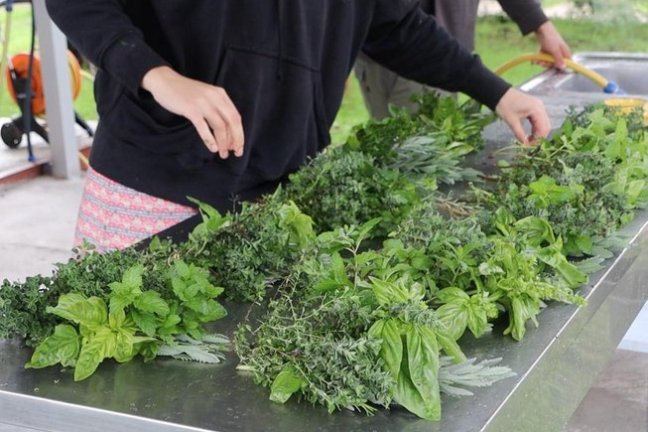 Penamacor cooking class