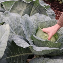 Penamacor cooking class