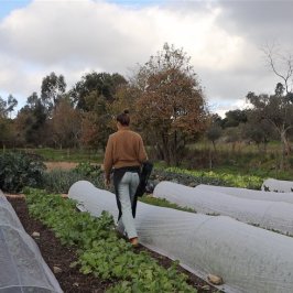 Penamacor cooking class