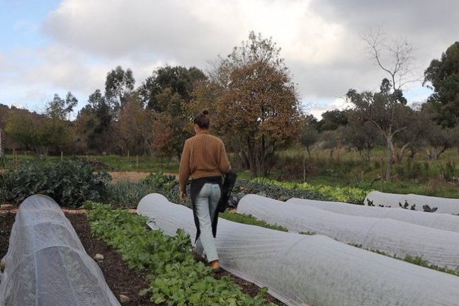 Penamacor cooking class