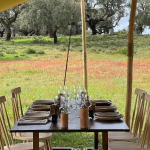 Alentejo Black Pig Experience