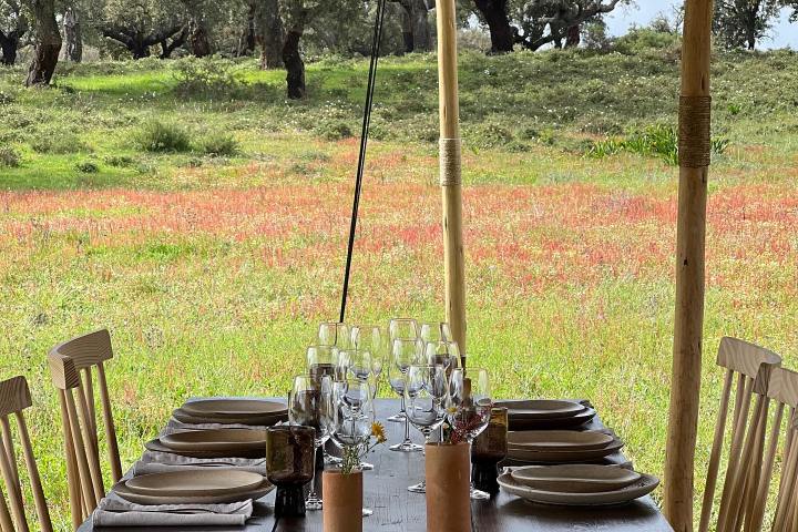 Alentejo Black Pig Experience