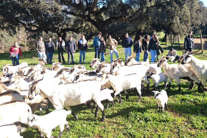Alentejo Black Pig Experience
