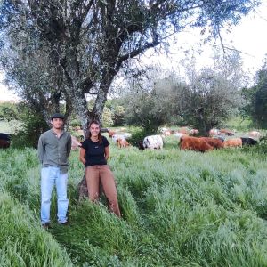 Alentejo Black Pig Experience