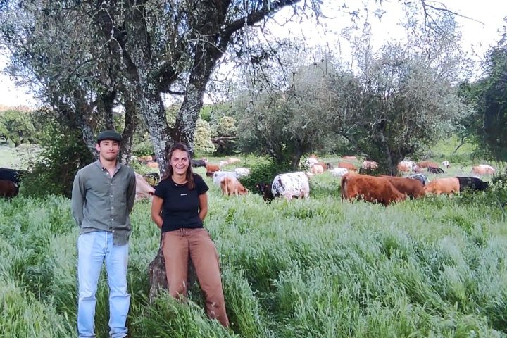 Alentejo Black Pig Experience