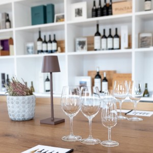 Douro Terroir Wine Tasting