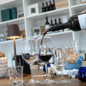 Douro Terroir Wine Tasting