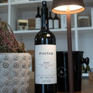 Douro Terroir Wine Tasting