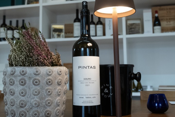 Douro Terroir Wine Tasting