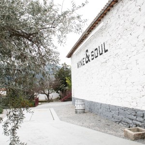 Douro Terroir Wine Tasting