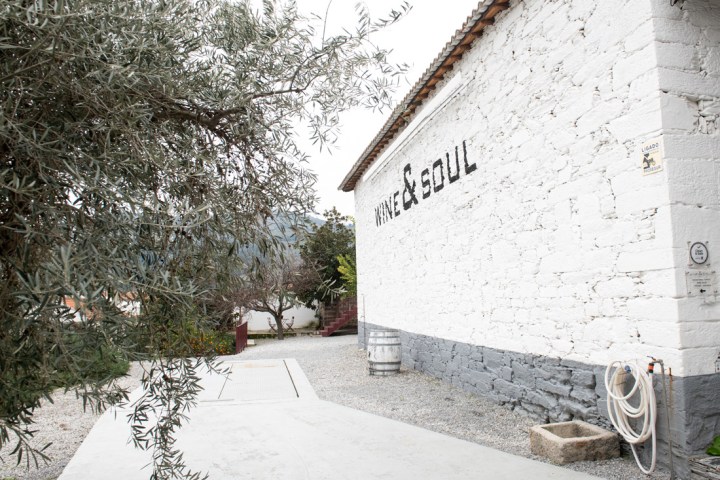 Douro Terroir Wine Tasting