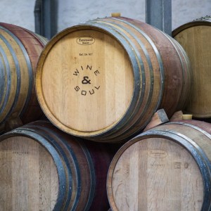 Douro Terroir Wine Tasting