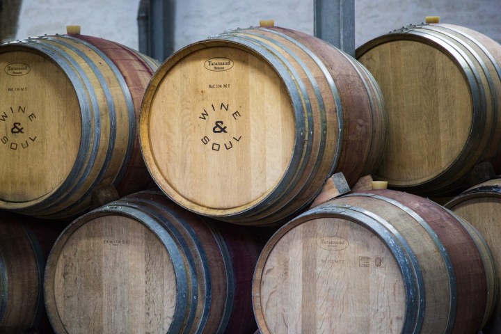 Douro Terroir Wine Tasting