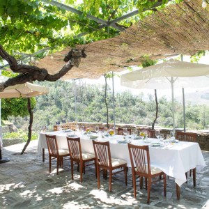 Douro Terroir Wine Tasting