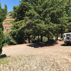 Douro Terroir Wine Tasting