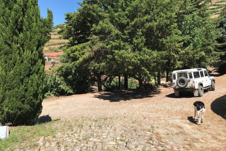 Douro Terroir Wine Tasting