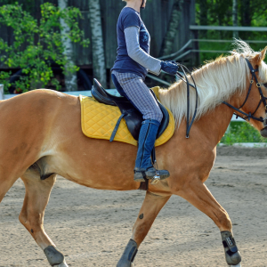 Évora Horseback Riding