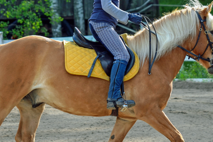 Évora Horseback Riding