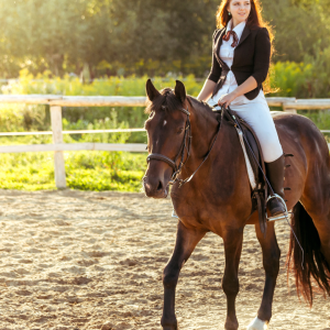 Évora Horseback Riding