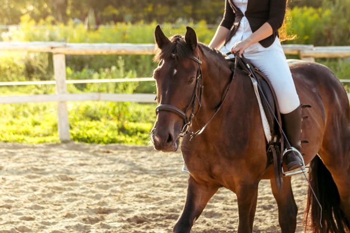 Évora Horseback Riding