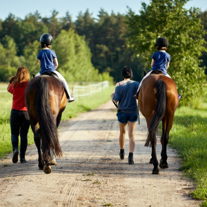 Évora Horseback Riding