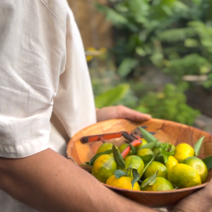 Madeira farm to table tour