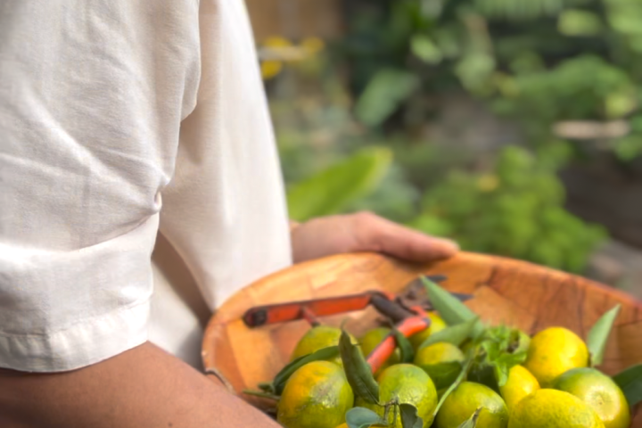 Madeira farm to table tour