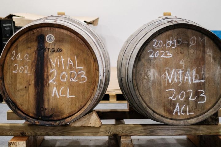 Lourinhã wine tasting tour