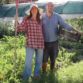 Penamacor farm to table