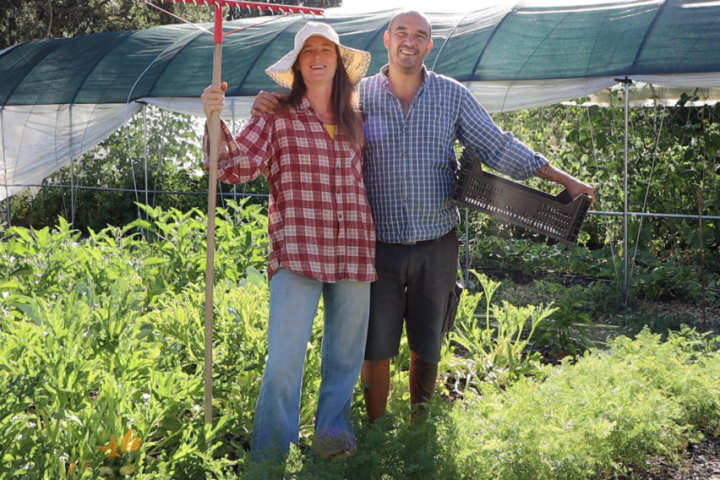 Penamacor farm to table