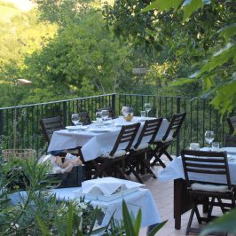 Penamacor farm to table