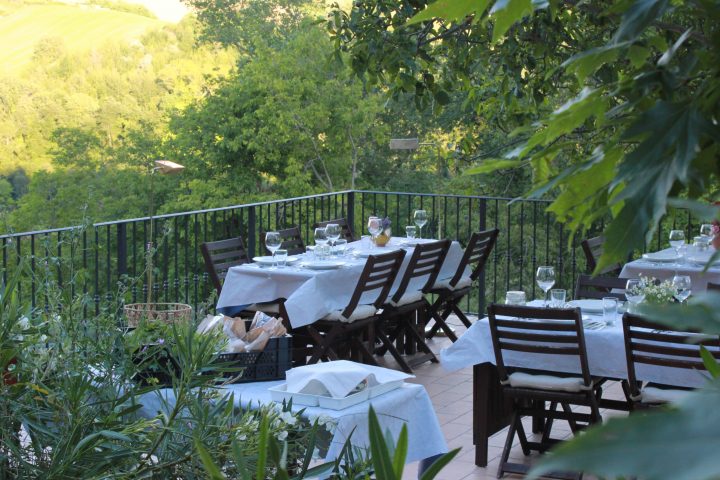 Penamacor farm to table