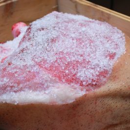 Penamacor farm to table