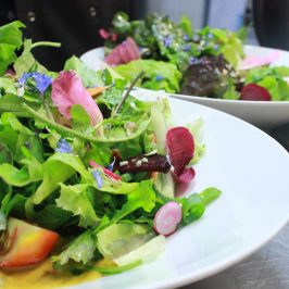 Penamacor farm to table