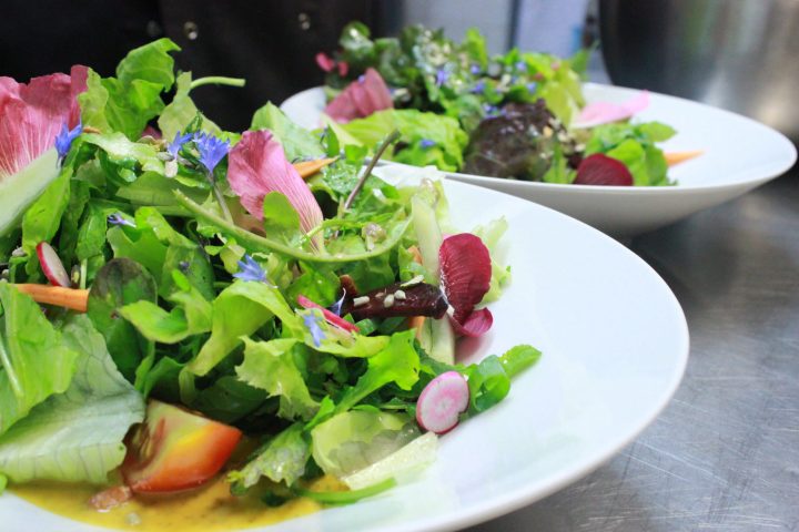 Penamacor farm to table