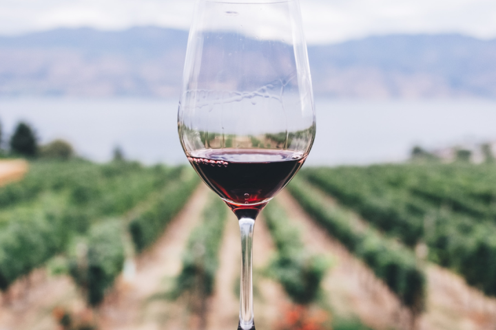 port wine tour
